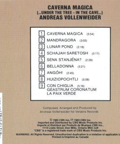 Andreas Vollenweider-1