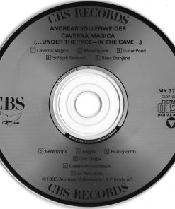 Andreas Vollenweider-2