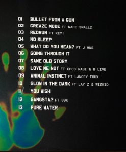 Skepta-2