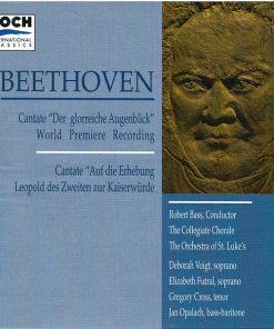 Ludwig van Beethoven-0