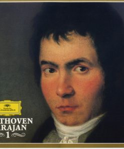 Ludwig van Beethoven-0