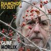 Gurf Morlix-0
