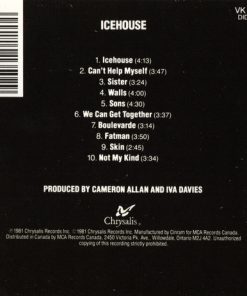 Icehouse-1