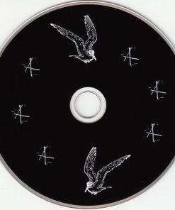 Patrick Wolf-2