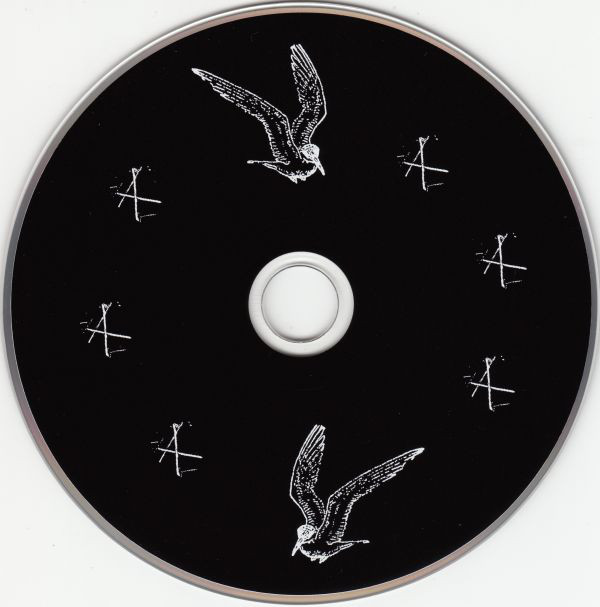 Patrick Wolf-2