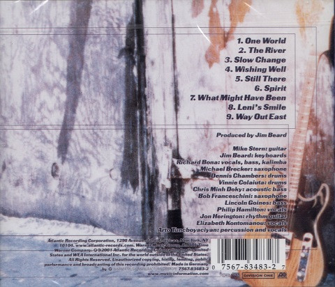 Mike Stern-1