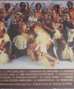 Ladysmith Black Mambazo-2