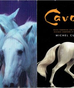 Michel Cusson-2