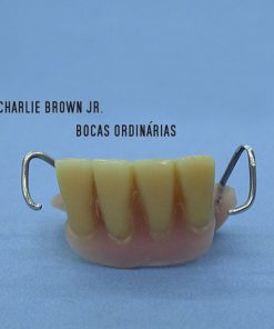 Charlie Brown Jr.-0