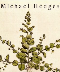 Michael Hedges-0