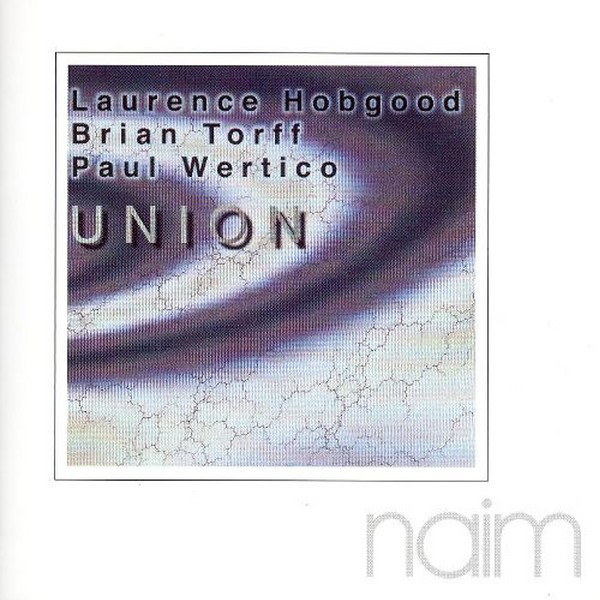 Laurence Hobgood, Brian Torff, Paul Wertico-0