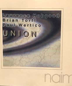 Laurence Hobgood, Brian Torff, Paul Wertico-1