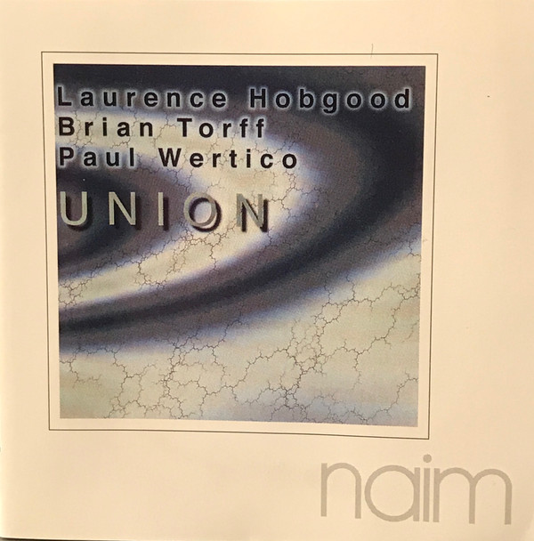 Laurence Hobgood, Brian Torff, Paul Wertico-1