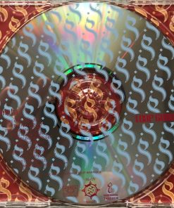 Loop Guru-2