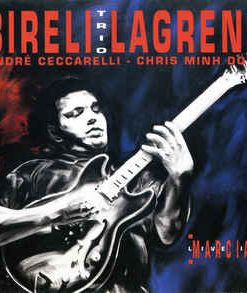 Biréli Lagrène, André Ceccarelli, Chris Minh Doky-0