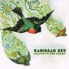 Cadillac Sky-0