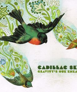 Cadillac Sky-0