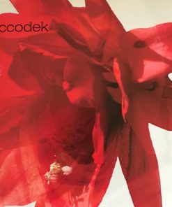 Eccodek-0