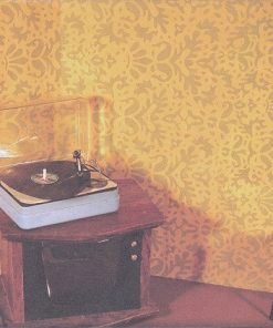 Julie Doiron-2