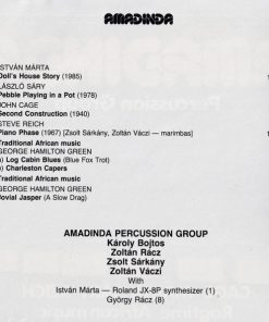Amadinda Percussion Group-4