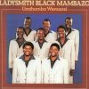 Ladysmith Black Mambazo-0