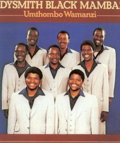 Ladysmith Black Mambazo-0