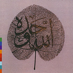 The Sabri Brothers-0