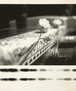 Natural Frequencies AKA Andreas Leifeld-3