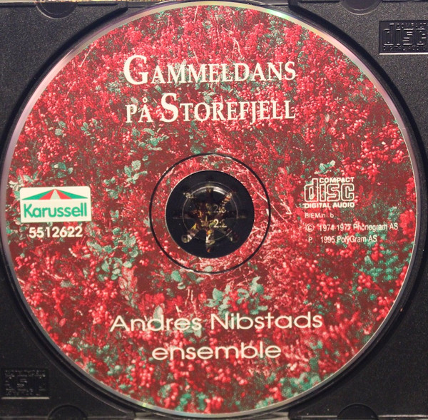 Andres Nibstads Ensemble-2