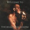 The Beautiful South-0