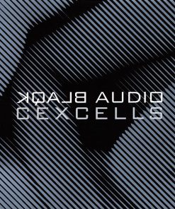 Blaqk Audio-0