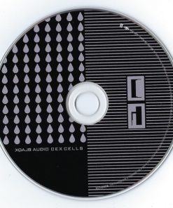 Blaqk Audio-2