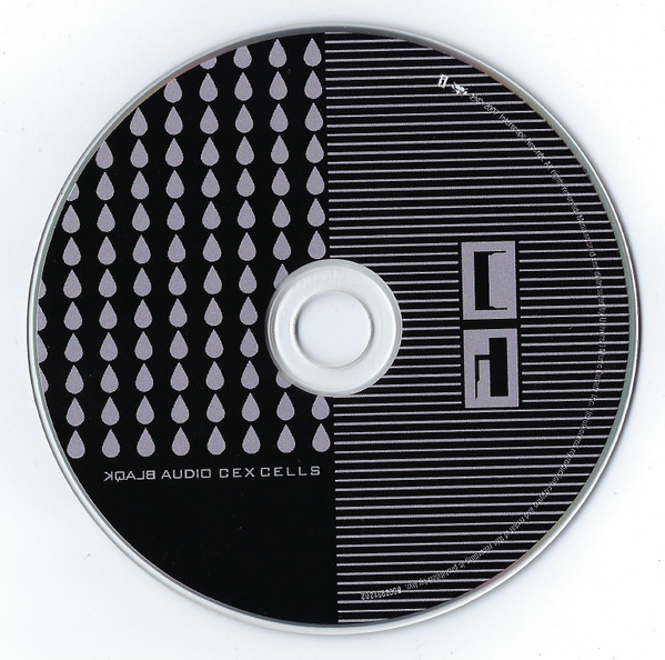 Blaqk Audio-2
