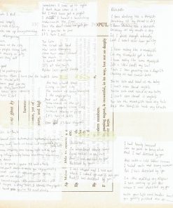 Bob Geldof-3
