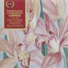 Maddalena Lombardini Sirmen*, The Allegri String Quartet-0