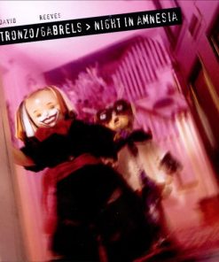 David Tronzo / Reeves Gabrels-0