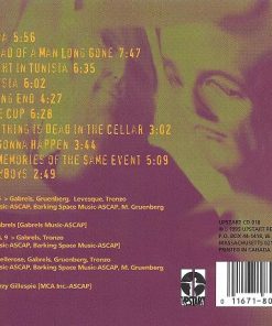David Tronzo / Reeves Gabrels-1