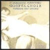 The Agnostic Mountain Gospel Choir*-0