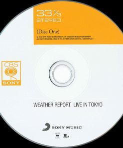 Weather Report-4