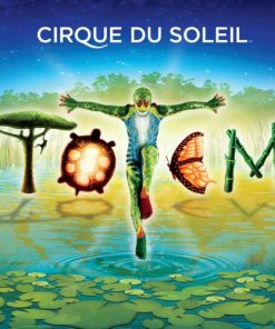Cirque Du Soleil-0