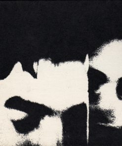 The Jon Spencer Blues Explosion-4