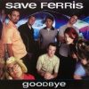 Save Ferris-0