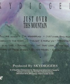 Skydiggers-1