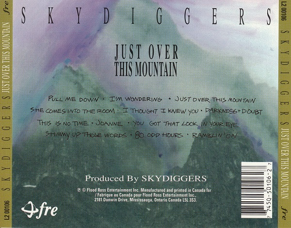 Skydiggers-1