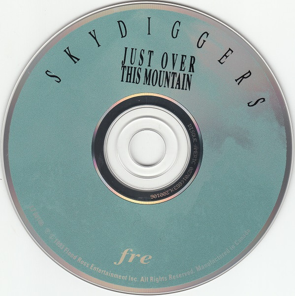 Skydiggers-2