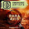 Rara Avis-0