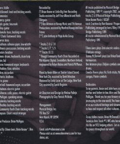 Eileen Ivers & Immigrant Soul-1