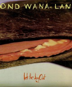 Gondwanaland Project-0