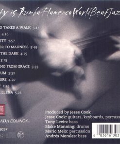 Jesse Cook-1