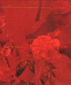 Handel*, Renée Fleming-2